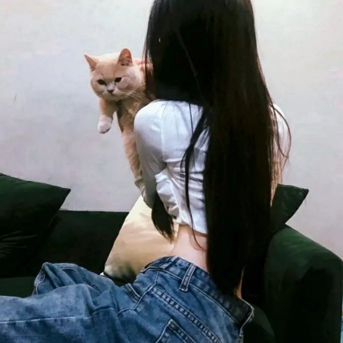 布里斯比熊