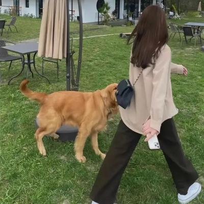 黑骸